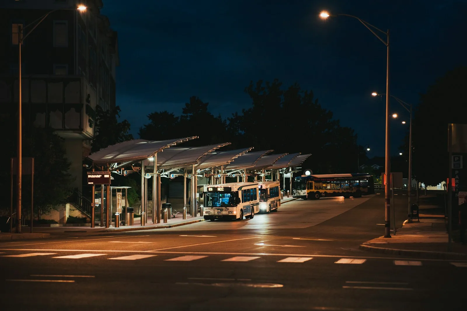 white and brown tram on street during night time