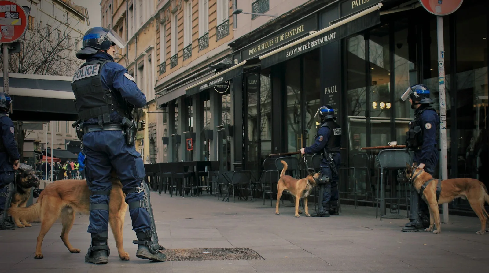 man in blue jacket walking with brown short coated dog on street during daytime