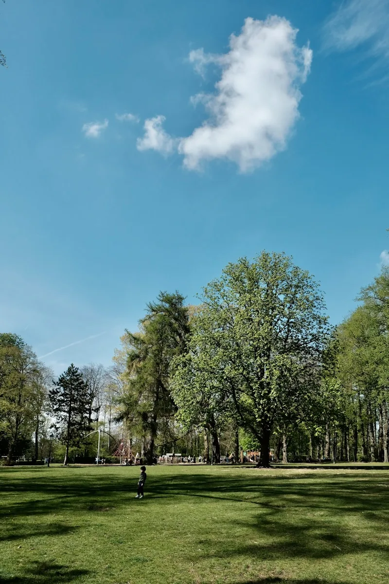 a person is flying a kite in a park