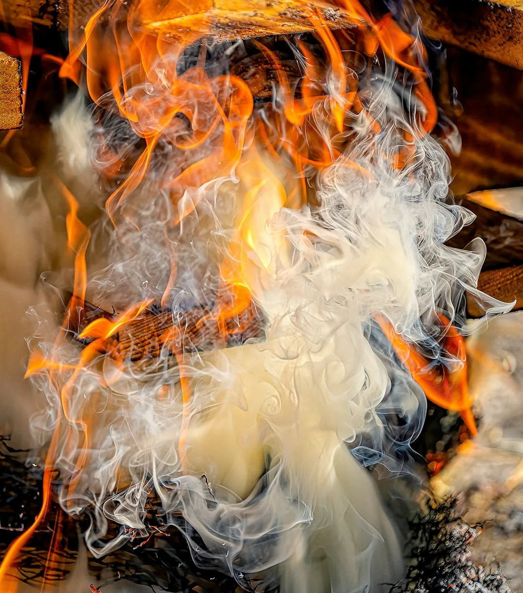 burning wood on fire pit