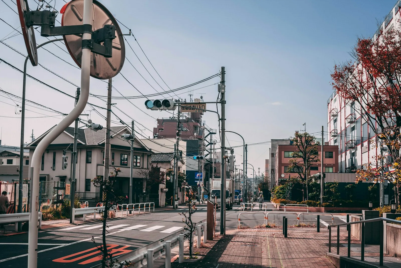 white framed traffic light on road near trees