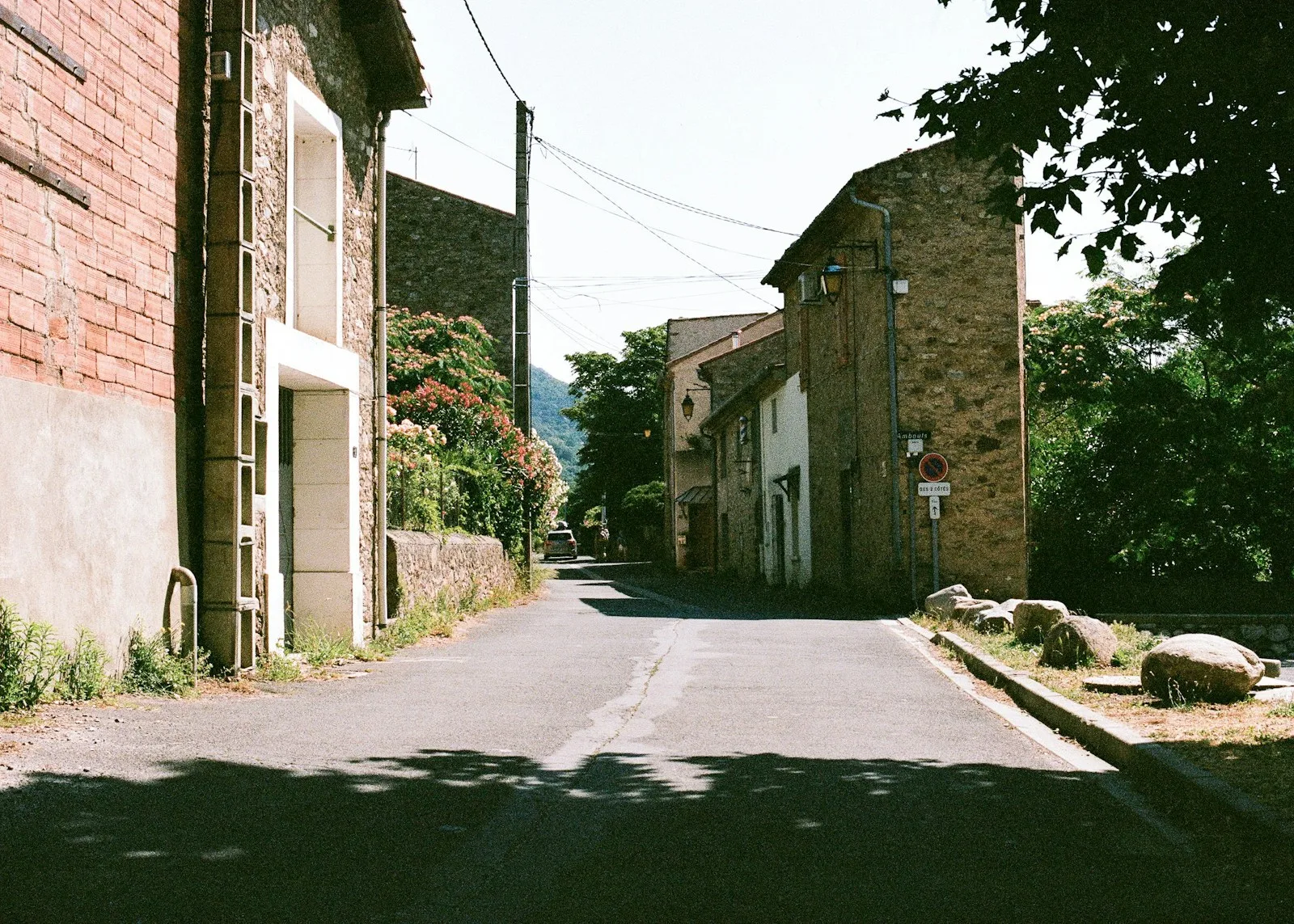A street lined with brick buildings next to a forest