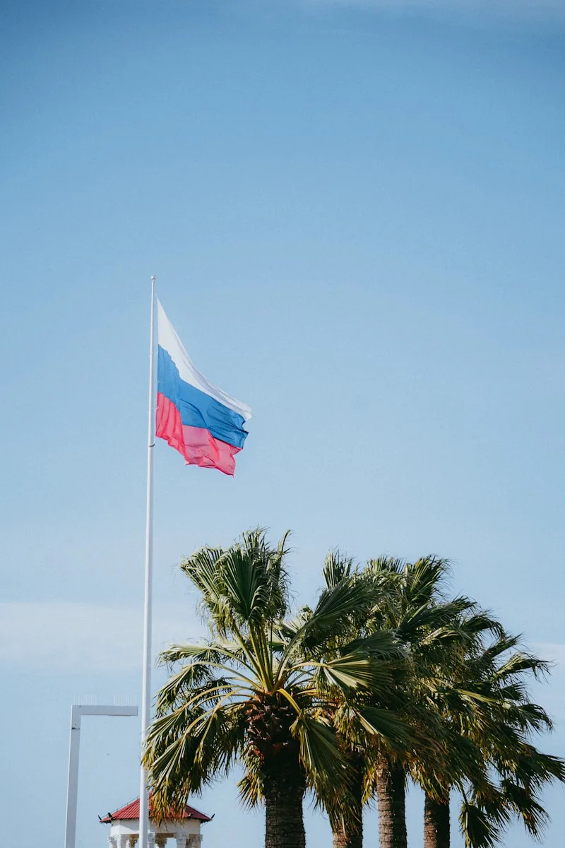 a flag flying in the wind next to palm trees