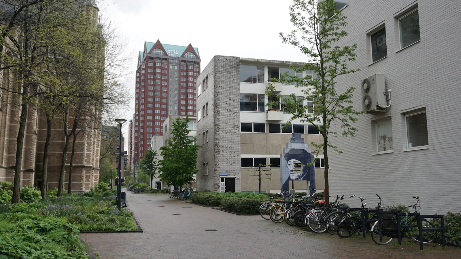 a row of bikes parked on the side of a road