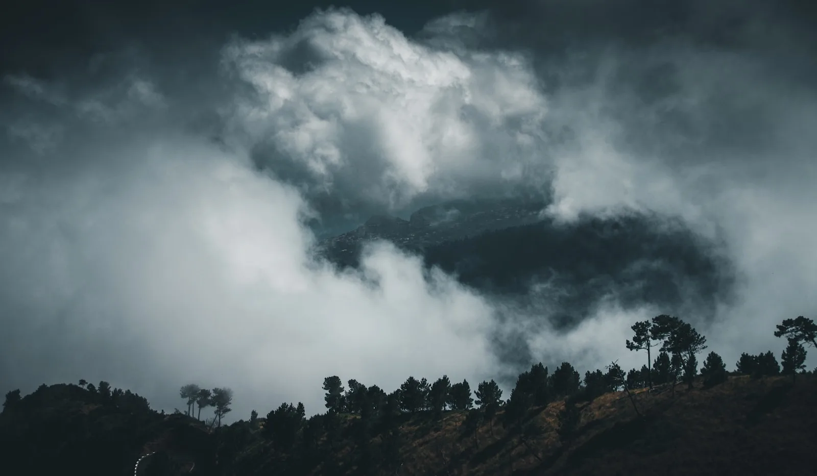 green trees under white clouds