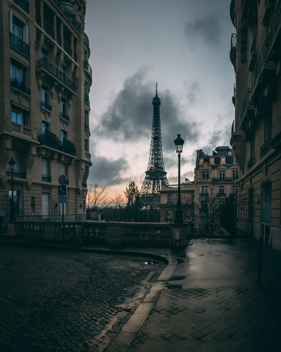 the eiffel tower towering over the city of paris
