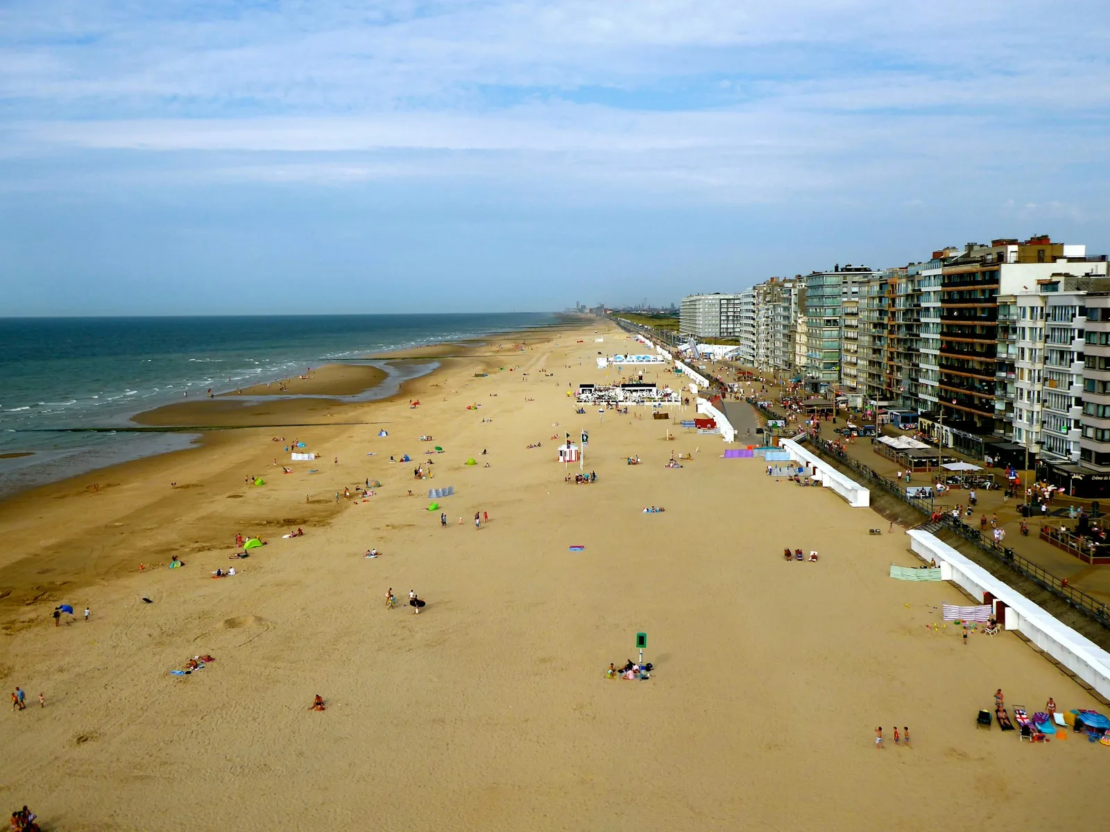 aerial photography persons enjoying on beach