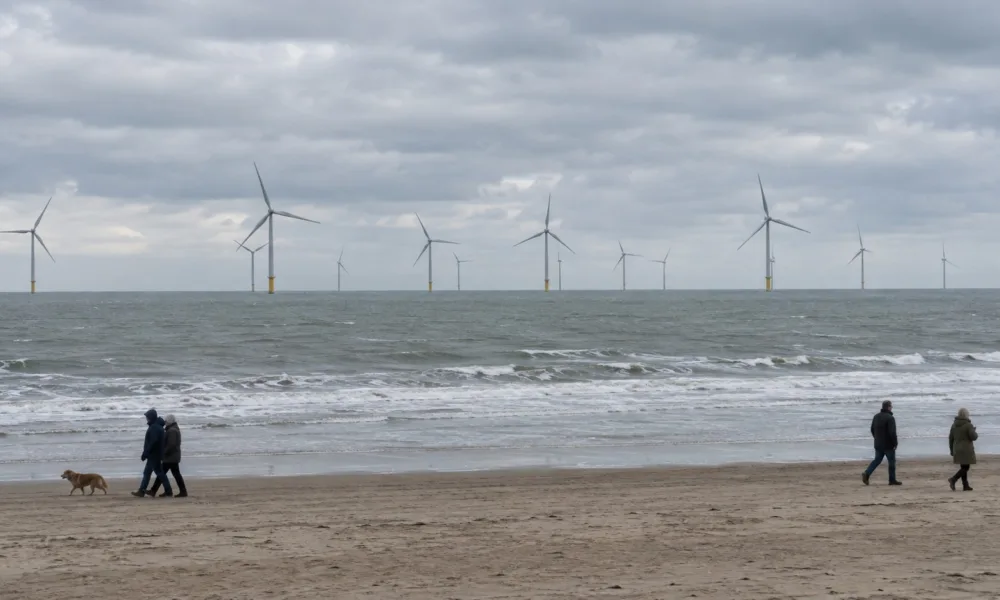Morskie farmy wiatrowe widziane z plaży