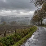 Pogoda w Belgii: chłodna niedziela 18 października, w poniedziałek mgły i powrót do normalnych temperatur – w piątek ulewy i silny wiatr
