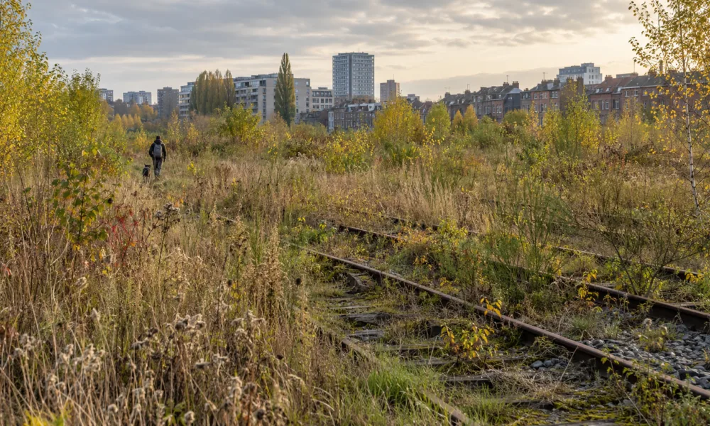 Teren Josaphat w Schaerbeek: komisja przeciw budowie 537 mieszkań – o pozwoleniu zdecyduje Region Stołeczny Brukseli
