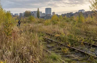 Teren Josaphat w Schaerbeek: komisja przeciw budowie 537 mieszkań – o pozwoleniu zdecyduje Region Stołeczny Brukseli