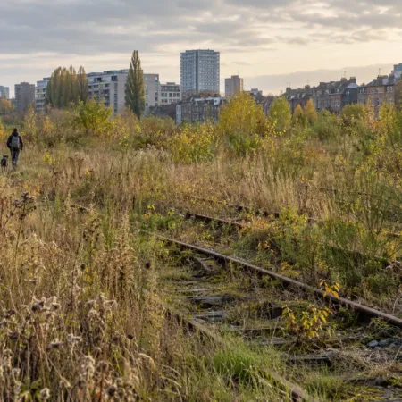 Teren Josaphat w Schaerbeek: komisja przeciw budowie 537 mieszkań – o pozwoleniu zdecyduje Region Stołeczny Brukseli