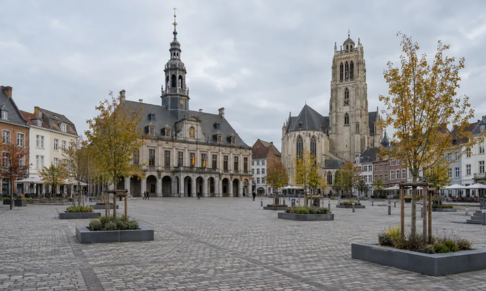 Grote Markt w Sint-Truiden z młodymi drzewami w nasadzeniach