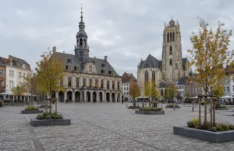 Grote Markt w Sint-Truiden z młodymi drzewami w nasadzeniach