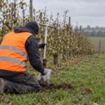 DDT w ziemi 50 lat po zakazie – OVAM znalazł ślady pestycydów w prawie połowie próbek gleby z okolic Sint-Truiden, Hoogstraten i Roeselare