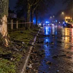 Uszkodzone drzewo i radiowóz na mokrej ulicy po nocnym wypadku pod Brugią