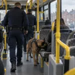 Duża kontrola w autobusach TEC w Borinage – 572 pasażerów sprawdzonych przez psa tropiącego narkotyki, TEC wystawił 50 protokołów