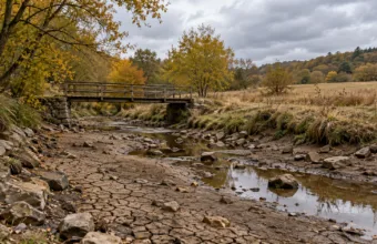 Wyschnięte koryto strumienia z popękanym mułem jesienią w Walonii - wizualizacja