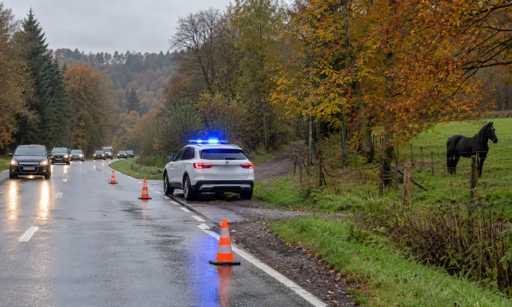 Pojazd służb z niebieskimi światłami na wiejskiej drodze, koń na pastwisku za ogrodzeniem