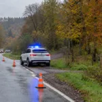 Pojazd służb z niebieskimi światłami na wiejskiej drodze, koń na pastwisku za ogrodzeniem