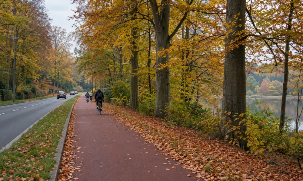Szeroka droga rowerowa oddzielona od jezdni na skraju lasu w Brukseli (wizualizacja SI)