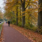 Szeroka droga rowerowa oddzielona od jezdni na skraju lasu w Brukseli (wizualizacja SI)