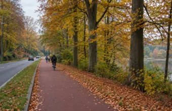 Szeroka droga rowerowa oddzielona od jezdni na skraju lasu w Brukseli (wizualizacja SI)