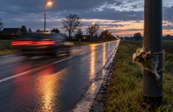 pirat drogowy dilbeek