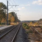 Jednotorowa linia kolejowa wśród wrzosowisk i sosen w północnej Limburgii, pusty peron