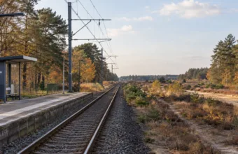 Jednotorowa linia kolejowa wśród wrzosowisk i sosen w północnej Limburgii, pusty peron
