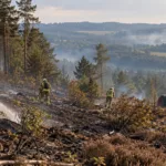 Prowincja Luksemburg chce być gotowa na pożary lasów do lata 2027 r. – program „Lux response”, rolnicy i wolontariusze mają pomagać strażakom według jasnych zasad