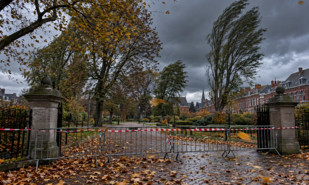 Sztorm Austen w Hainaut – w Charleroi zakaz wstępu do lasów, parków i na cmentarze, w Mouscron parki zamknięte do poniedziałku, Pairi Daiza ogranicza Halloween