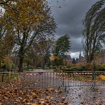 Sztorm Austen w Hainaut – w Charleroi zakaz wstępu do lasów, parków i na cmentarze, w Mouscron parki zamknięte do poniedziałku, Pairi Daiza ogranicza Halloween