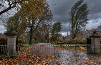 Sztorm Austen w Hainaut – w Charleroi zakaz wstępu do lasów, parków i na cmentarze, w Mouscron parki zamknięte do poniedziałku, Pairi Daiza ogranicza Halloween