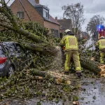 Pierwsze szkody po przejściu sztormu Austen – drzewo spadło na samochód w Melkwezer, zamknięta E429 pod Tournai, opóźnienia pociągów w Hainaut