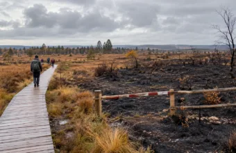 Hautes Fagnes od poniedziałku 26 października częściowo znów otwarte – wraca m.in. okolica Signal de Botrange i trasa WM18, spalony teren nadal zamknięty