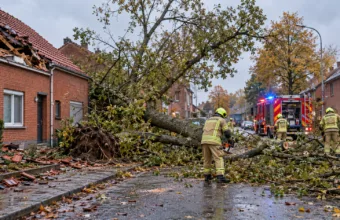 Sztorm Austen w regionach – 180 wezwań straży we wschodniej Limburgii, 179 interwencji w strefie Rand, wiatr zerwał dach trybuny w Sint-Pieters-Leeuw