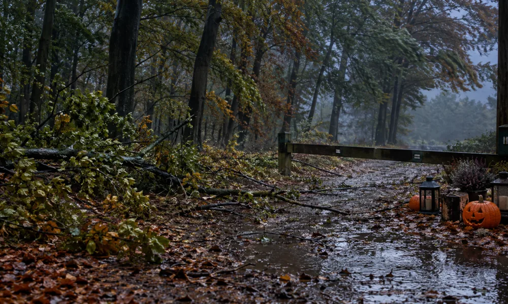Halloweenowa trasa przez las w Kampenhout przełożona przez wichurę – zamiast w sobotę 24 października odbędzie się 7 listopada, bilety zachowują ważność