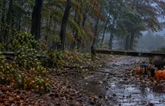 Halloweenowa trasa przez las w Kampenhout przełożona przez wichurę – zamiast w sobotę 24 października odbędzie się 7 listopada, bilety zachowują ważność