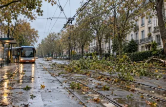Tramwaj 44 w Brukseli nie pojedzie co najmniej do poniedziałku 26 października – niż Boelo zerwał sieć trakcyjną, w Middelkerke auta pod warstwą błota
