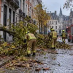 Niż Boelo w Brukseli – w niedzielę 25 października jeszcze 61 interwencji straży pożarnej, łącznie ponad 120 od sobotniego wieczoru