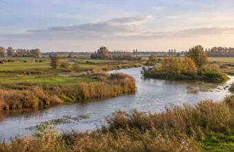 Natuurpunt kupił strumień Rode Geul w Assenede – 22 hektary w krainie Meetjesland to największy zakup organizacji w tym regionie
