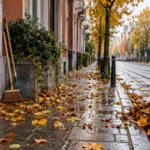 Liście na chodniku przed domem musi sprzątać mieszkaniec – w Brukseli grozi za to kara do 350 euro