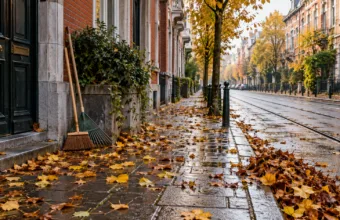 Liście na chodniku przed domem musi sprzątać mieszkaniec – w Brukseli grozi za to kara do 350 euro