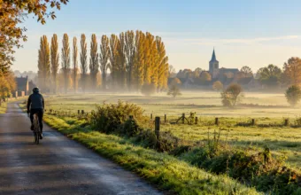 Czwartek 29 października w Belgii sucho i słonecznie – do 15 stopni, rano mgły i niskie chmury, na weekend Wszystkich Świętych spokojna pogoda