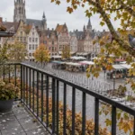 Turnhout ma o dwie trzecie mniej gołębi miejskich dzięki „pigułce antykoncepcyjnej” – problem z turkawkami i grzywaczami zostaje, miasto prosi: nie dokarmiajcie
