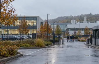 GSK chce zlikwidować 1 217 miejsc pracy w Belgii – związkowcy złożyli zapowiedź strajku