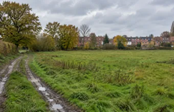 Niezabudowana łąka na skraju Brukseli z szeregowymi domami w tle