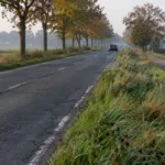 Droga regionalna we Flandrii z wysoką trawą na poboczu i wyblakłymi liniami