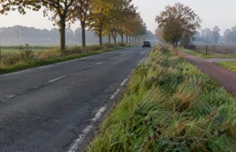 Droga regionalna we Flandrii z wysoką trawą na poboczu i wyblakłymi liniami